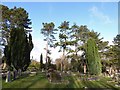 Caterham Cemetery: early January 2017 (k)