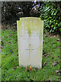 The Headstone of Elio Finelli in Fakenham cemetery