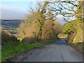 Byway, road and winter tree scene near Haytor Vale