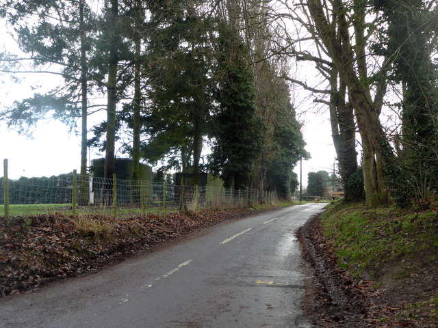 Provender Lane near Norton