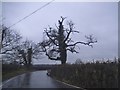 Brickhouse Lane, Newchapel