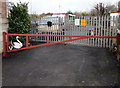 White swan depiction on a town centre barrier, Flint