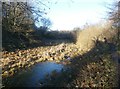 Cyclist next to the Barnsley Canal