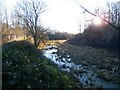 The Barnsley Canal near Royston