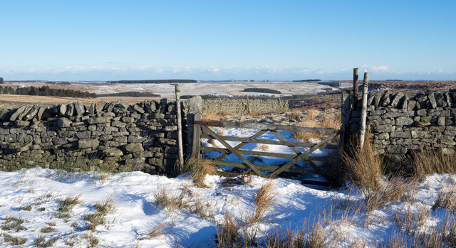 Gate in wall near Tunstall Burn