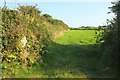 SX0362 : Cornish hedge near Castle Hill Farm by Derek Harper