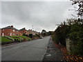 Looking up Whickham Bank