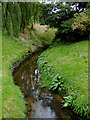 Stream by the former mill at Wrenbury, Cheshire