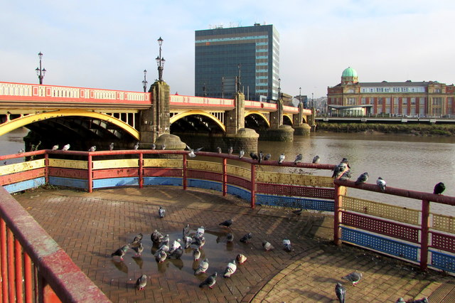 Pigeons at the edge of the River Usk, Newport
