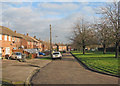 Ditton Lane in January