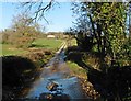 Fords on lane to Shapcombe Farm