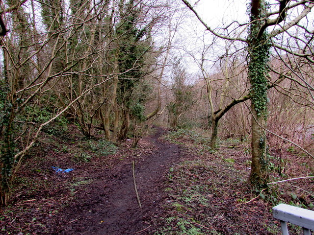 Muddy track above the Ebbw River, Risca