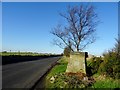 Entering Affetside