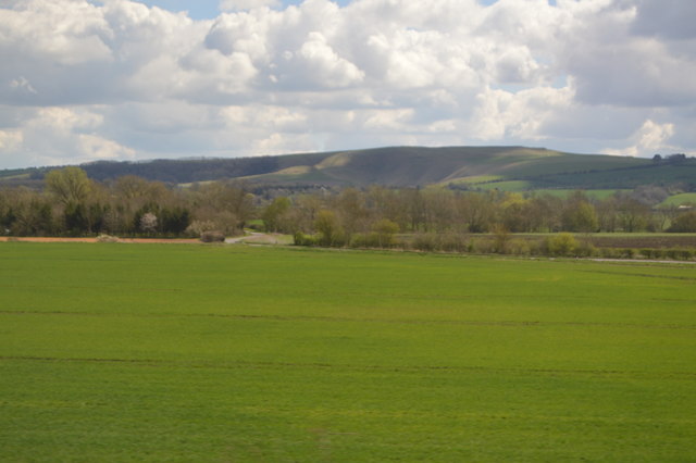 Farmland, Knighton Copse