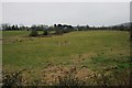 Rough grazing beside Salterland Road