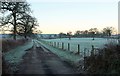 Farm track to Tettaridge Barton