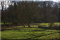 Hangars Way, looking towards Furzefield Copse