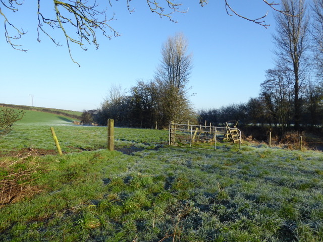 Frosty field, Aghagallon