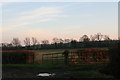 Grass fields south of Green Lane, Moorhouse