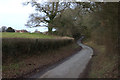 Petersfield Road near Bolinge Hill Farm