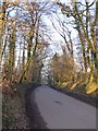 Road to Cruwys Morchard from High Gate