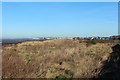 Dunes at Seafield