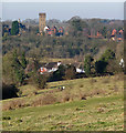 View from Farthing Downs