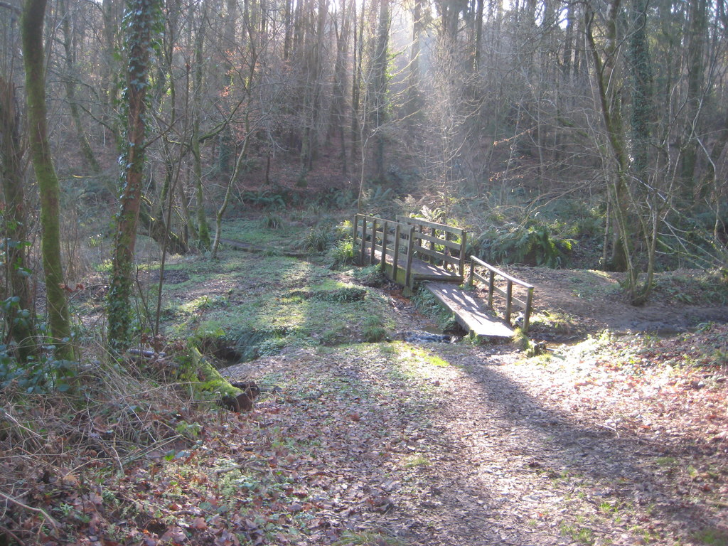 A woodland bridge © Anthony Vosper cc-by-sa/2.0 :: Geograph Britain and ...