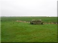 Between  farm  and  beach  Auburn  Farm