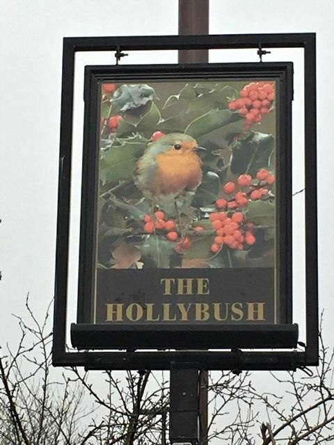 The sign of The Holly Bush