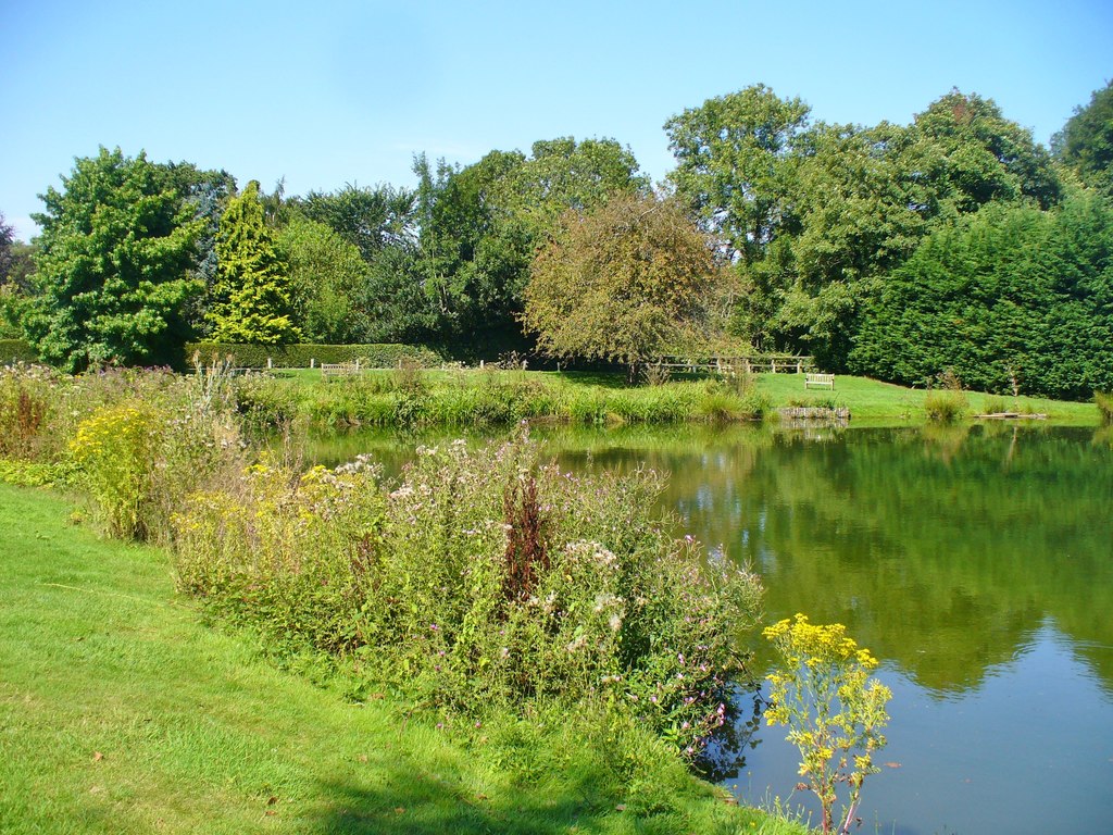 Hascombe Pond © Colin Smith cc-by-sa/2.0 :: Geograph Britain and Ireland