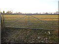 Field entrance on Horley Road, Charlwood