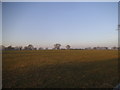 Field by Horley Road, Charlwood