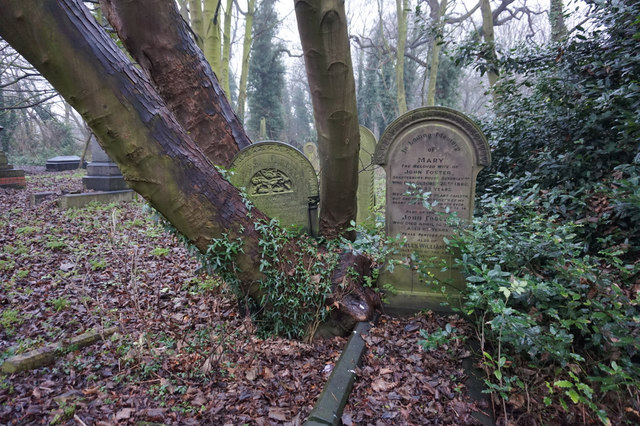 Gravestones in Western Cemetery, Hull