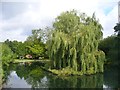 Shottermill Pond