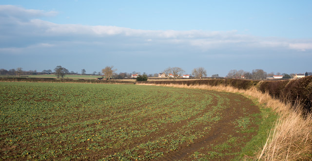 Field edge adjacent to minor road