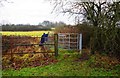 Kissing gate on the North Worcestershire Path, West Heath