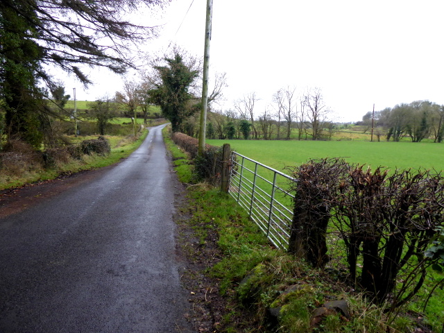 Carrigans Road, Tattynure © Kenneth Allen :: Geograph Ireland