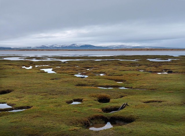 Salt marsh, Rubh' na h-Innse Moìre, Ross and Cromarty