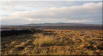 NY7647 : Moorland at Cleugh Head by Trevor Littlewood