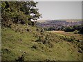 View from Brighton Wild Park