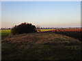 Fields north of the A614 on the edge of Goole