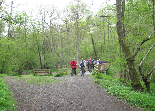 Dowles Brook crossing - Wyre Forest, Worcestershire