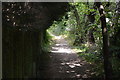 Greenwich Meridian Trail & Tandridge Border Path