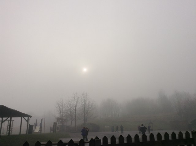 Fog at Milborne First School