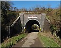 Railway overbridge on Longmarsh Lane