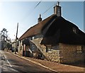 Thatched Cottage on Shute Lane