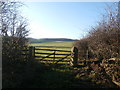 Field Entrance at Sheep Lane Head