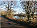 Green Acre Pond by Jebb Lane