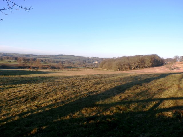 Round Wood viewed from Jebb Lane